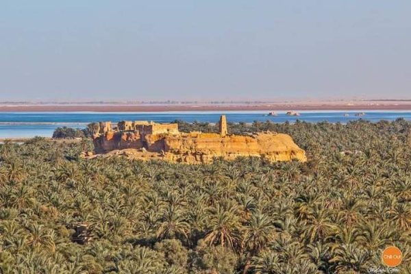 Kairó - Alexandria - Matrouh - Siwa Oázis - Image 5